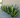 Duurzaam Zonne-Agave Licht - Elegant, Waterdicht en Handgemaakt voor je Tuin - Bliss Home