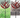 GardenBreeze | Harlow Wind-aangedreven kinetische kunst - Bliss Home