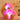 Veranderende Kleur LED Teddybeer - knuffelbare, zachte vacht - perfect voor comfort en troost - 32 cm hoog - - Bliss Home