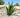 Duurzaam Zonne-Agave Licht - Elegant, Waterdicht en Handgemaakt voor je Tuin - Bliss Home