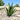 Duurzaam Zonne-Agave Licht - Elegant, Waterdicht en Handgemaakt voor je Tuin - Bliss Home