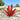 Duurzaam Zonne-Agave Licht - Elegant, Waterdicht en Handgemaakt voor je Tuin - Bliss Home