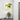 PlantaLamp | Wandlamp met Plantenbak - Bliss Home