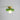 BauhausLicht – Franse Plafondlamp in Iconisch Bauhaus Design - Bliss Home
