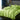 LuxeSilk Satijnen Beddengoed Set - Dekbedovertrek, Hoeslaken & Kussenslopen - Elegant & Zacht voor Ultiem Comfort - Bliss Home