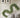 EvergreenCharm – Sfeervolle Kerst Guirlande van Cipresbladeren - Bliss Home