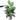 BotanicalBliss | Luxe Kunstplanten Voor Huis en Tuin - Bliss Home
