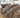 WildCharm | Luipaardpatroon Beddengoed - Bliss Home