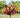 GardenBreeze | Harlow Wind-aangedreven kinetische kunst - Bliss Home