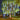 GlowCascade – Hangende LED Lichtstrengen voor Tuin & Feest - Bliss Home