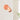 NordicLuxe | Subtiele Macaron Muurverlichting - Bliss Home