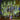 GlowCascade – Hangende LED Lichtstrengen voor Tuin & Feest - Bliss Home