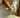 EdoSpice Molen - Elegante Pepermolen van Acaciahout - Precisie en Elegantie Gecombineerd - Bliss Home