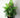 BotanicalBliss | Luxe Kunstplanten Voor Huis en Tuin - Bliss Home