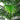 BotanicalBliss | Luxe Kunstplanten Voor Huis en Tuin - Bliss Home