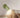 NordicLuxe | Subtiele Macaron Muurverlichting - Bliss Home