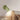 NordicLuxe | Subtiele Macaron Muurverlichting - Bliss Home