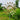 WhirlingWonders | Kinetische Metalen Windmolen Spinner - Bliss Home