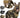 GuardPaw | Tactisch Hondharnas en Leash Set - Bliss Home