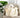 SafeCarry | Trendy Draagtas voor Honden en Katten - Bliss Home