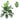 BotanicalBliss | Luxe Kunstplanten Voor Huis en Tuin - Bliss Home