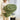 VelvetBunny | Antistatische Slaapkamer Deken - Bliss Home