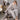CozyFleece - Zachte 2-Delige Loungewear Set - Gezellige Dames Pyjama voor Ontspannen Dagen - Bliss Home