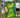 SwingMaster – Complete Golf Trainingsset voor Authentieke Ervaring - Bliss Home