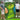 SwingMaster – Complete Golf Trainingsset voor Authentieke Ervaring - Bliss Home