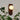GlowForm – Wandlamp met Gouden Accent en Modern Contrast - Bliss Home